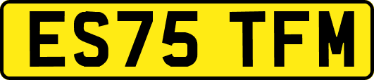 ES75TFM