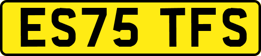 ES75TFS