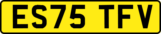 ES75TFV