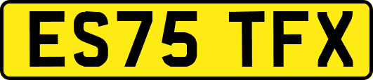 ES75TFX