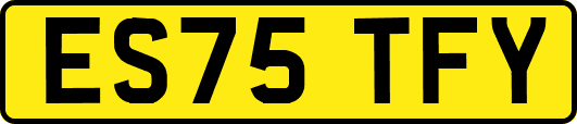 ES75TFY