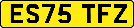 ES75TFZ