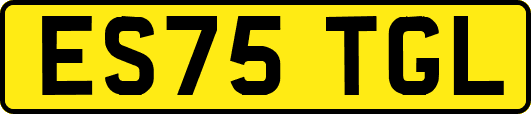 ES75TGL