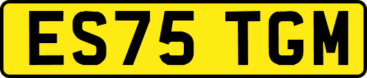 ES75TGM