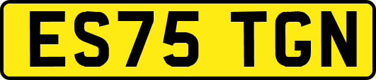 ES75TGN