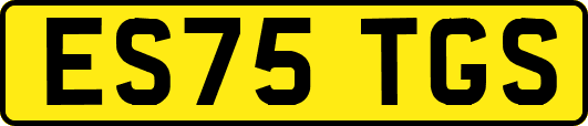 ES75TGS