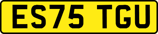 ES75TGU