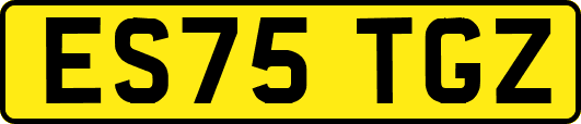 ES75TGZ