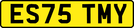 ES75TMY
