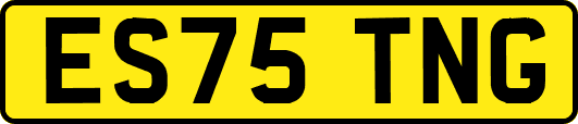 ES75TNG