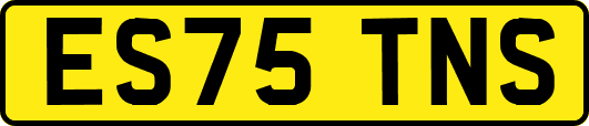 ES75TNS