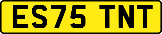 ES75TNT