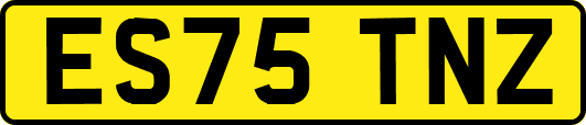 ES75TNZ