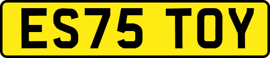ES75TOY