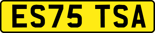 ES75TSA