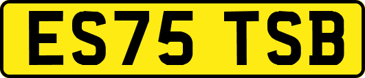 ES75TSB