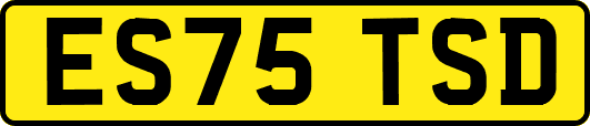 ES75TSD