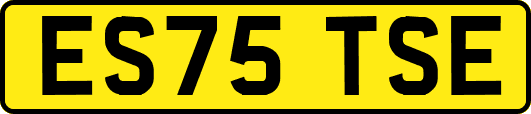 ES75TSE