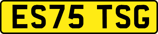 ES75TSG