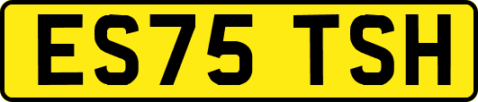 ES75TSH