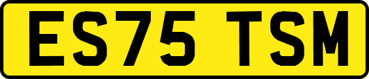 ES75TSM