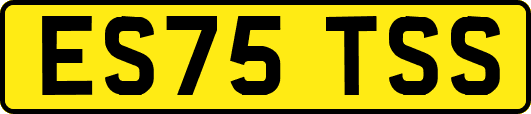 ES75TSS