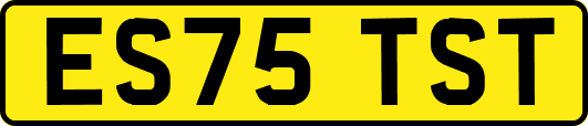 ES75TST