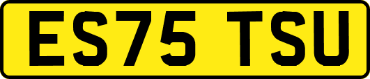 ES75TSU