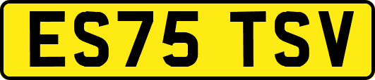 ES75TSV