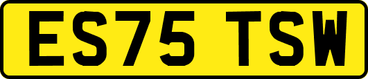 ES75TSW