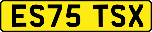 ES75TSX