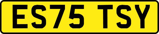ES75TSY