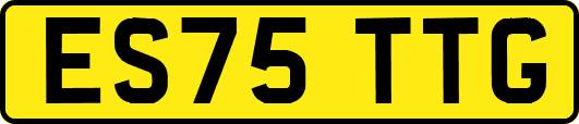 ES75TTG