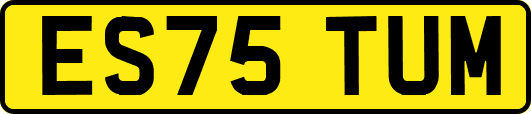 ES75TUM