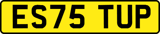 ES75TUP