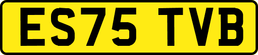 ES75TVB