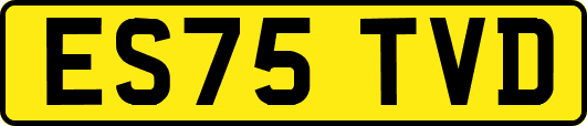 ES75TVD