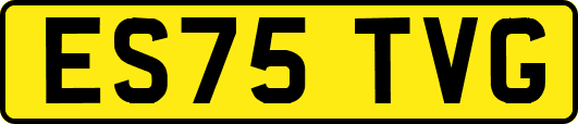 ES75TVG