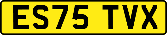 ES75TVX