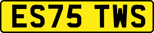 ES75TWS