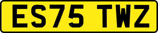 ES75TWZ
