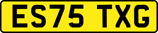 ES75TXG