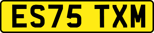 ES75TXM