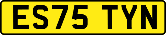 ES75TYN