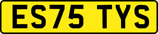 ES75TYS
