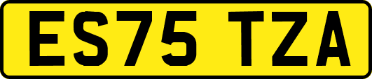 ES75TZA