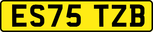 ES75TZB
