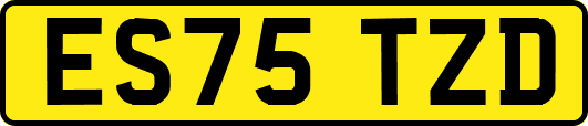 ES75TZD