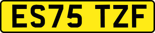 ES75TZF