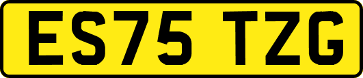 ES75TZG